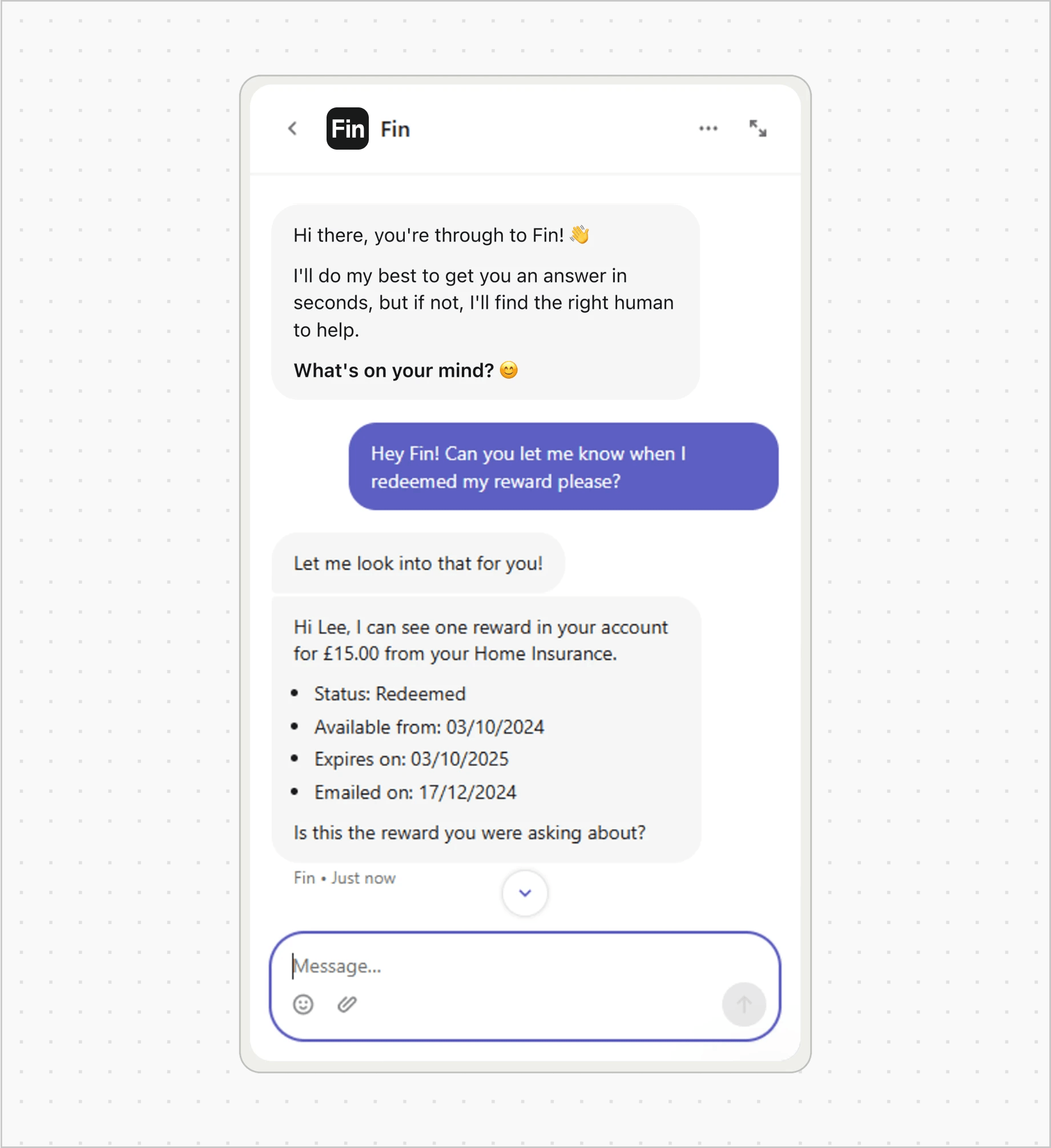 Fin checks account data, interprets the result, and responds with personalized reward details instantly.